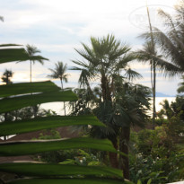 фото из отзыва ID 1545552