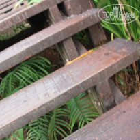 фото из отзыва ID 1545552