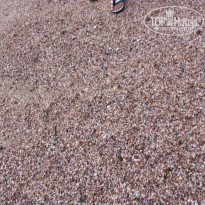 фото из отзыва ID 1545552