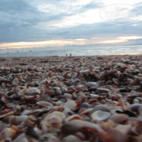 фото из отзыва ID 1545552