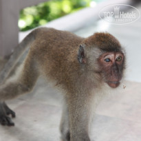 фото из отзыва ID 1545552