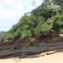 фото из отзыва ID 1545552