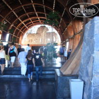 фото из отзыва ID 1545670