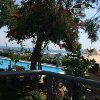 фото из отзыва ID 1545821