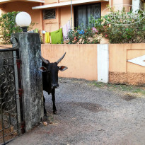 фото из отзыва ID 1546012