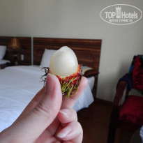 фото из отзыва ID 1546027