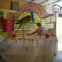 фото из отзыва ID 1546298