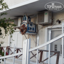 фото из отзыва ID 1546394