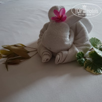 фото из отзыва ID 1546428