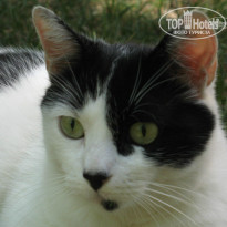 фото из отзыва ID 1546043