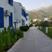 фото из отзыва ID 1546571