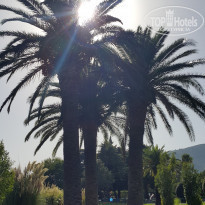 фото из отзыва ID 1546571