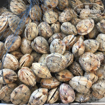 фото из отзыва ID 1546657