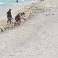 фото из отзыва ID 1546673