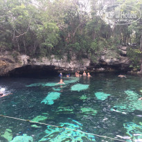 фото из отзыва ID 1546673