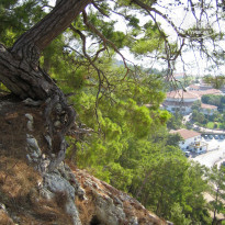 фото из отзыва ID 1546756