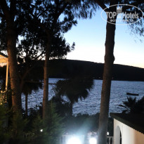 фото из отзыва ID 1546879