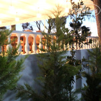 фото из отзыва ID 1546879