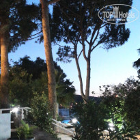 фото из отзыва ID 1546879