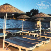 фото из отзыва ID 1546879