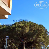 фото из отзыва ID 1546918