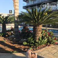 фото из отзыва ID 1547154