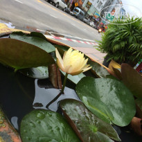 фото из отзыва ID 1547166