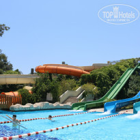 фото из отзыва ID 1546990