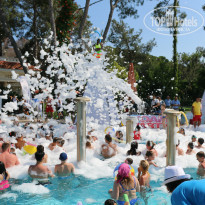 фото из отзыва ID 1546990