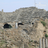 фото из отзыва ID 1546990