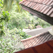 фото из отзыва ID 1547267