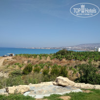 фото из отзыва ID 1547283