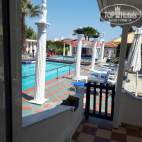 фото из отзыва ID 1547334