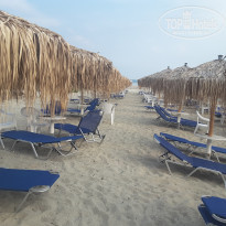 фото из отзыва ID 1547334