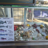 фото из отзыва ID 1547334