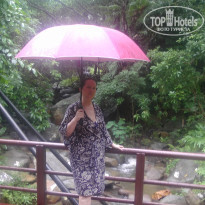 фото из отзыва ID 1547338