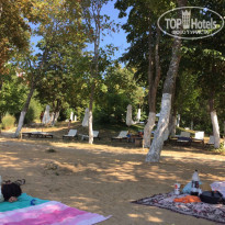 фото из отзыва ID 1547354