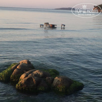 фото из отзыва ID 1547354