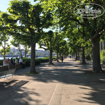 фото из отзыва ID 1547385