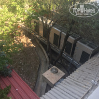 фото из отзыва ID 1547541