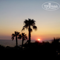 фото из отзыва ID 1547687