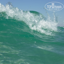 фото из отзыва ID 1547723