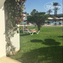 фото из отзыва ID 1547811