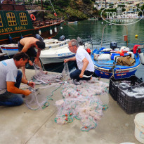 фото из отзыва ID 1547786