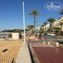 фото из отзыва ID 1547832