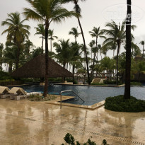 фото из отзыва ID 1547885