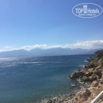 фото из отзыва ID 1548105