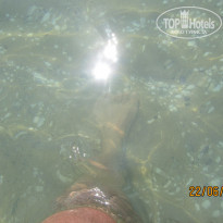 фото из отзыва ID 1548168