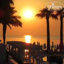 фото из отзыва ID 1548182