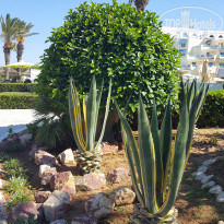 фото из отзыва ID 1548292